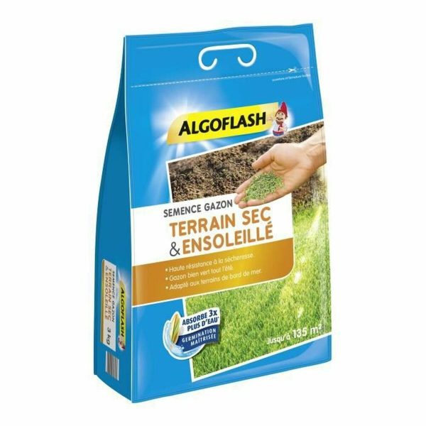 Seeds Algoflash Semsol3 Grass Mediterranean 3 Kg Sale